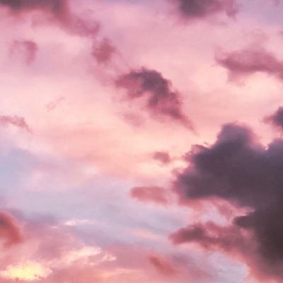 乐鱼全站官网在线登录截图